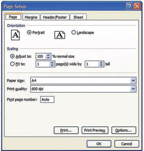 اصول چاپ كردن اطلاعات در Excel - نرم افزار حسابداری